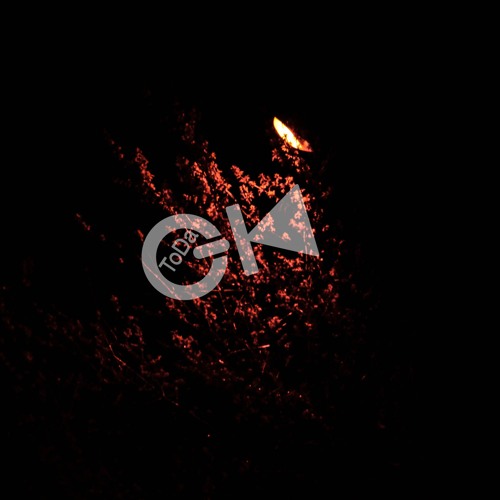 Matt Woods - Ain't No Use (Giorgi Todadze Edit)