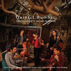 Quintet Bumbac - Roman Kedi