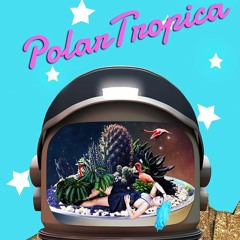 POLARTROPICA - "The Past Could Be"