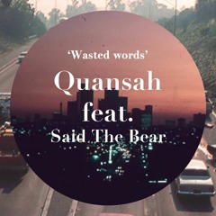 Wasted Words Ft.Said the Bear