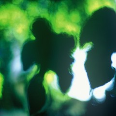 After March 11,2011,we're still there In the pine  trees.