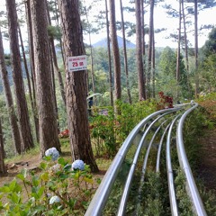 Rollercoaster (Prod. By Ray Spizzy)