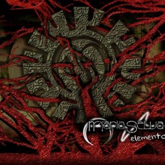 Hombre Alcohol (MARIA SELVA)alternative rock