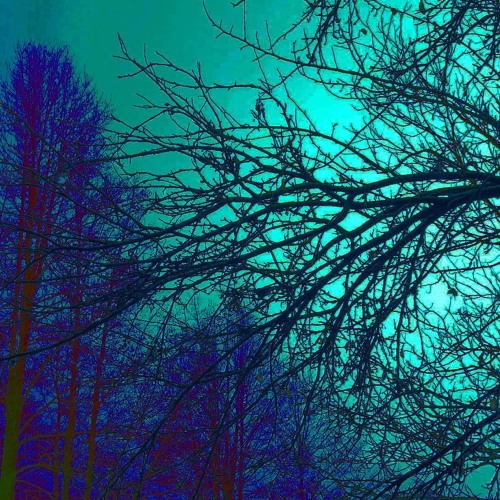 BAD TRIP