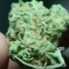 MY HIGH FEAT DUTCHESS DD (Prod by Truth)