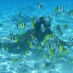 Banning Industrial Fishing Only Way to Save Oceans & Life, U.S. Must Lead, Other Nations Will Follow