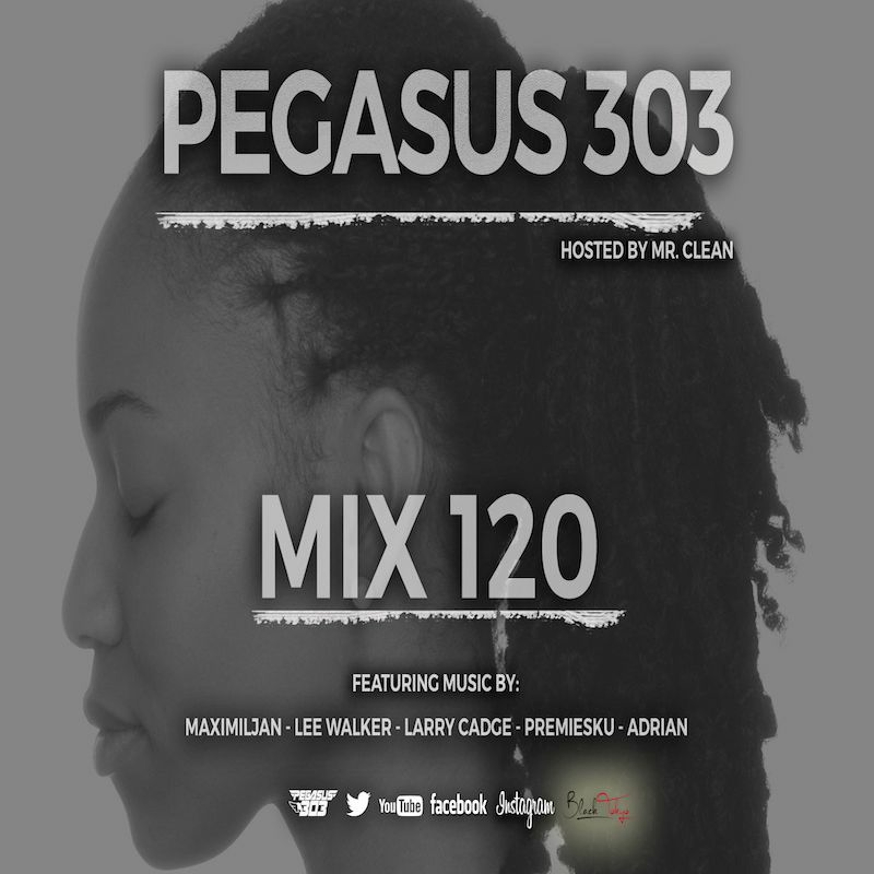 Pegasus 303 Mix