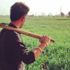 Amli Yaar Tera Mp3