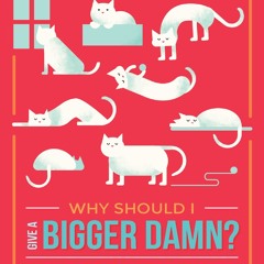 They Way I Am - Ingrid Michaelson (Cover)