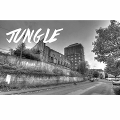 Jungle: Produced By Aaron Magill