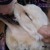 Artwork for Christian Fennesz & Jim O’Rourke 'I Just Want You To Stay (excerpt)' (EMEGO 221)