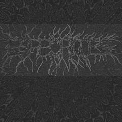 Borborites - Festivus 2011