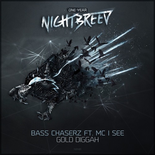 Bass Chaserz ft. MC I See - Gold Diggah