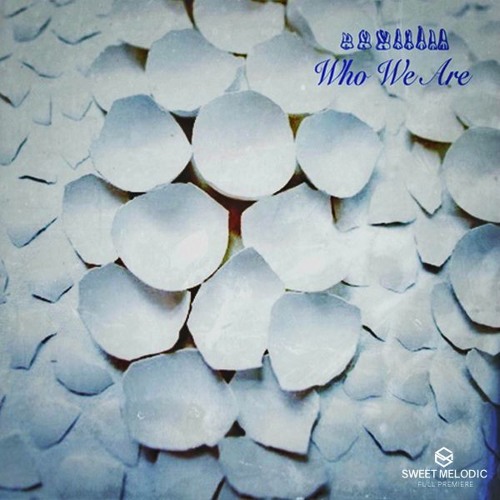 PREMIERE : Steffen Sonnenschein - North (Theodor Remix)