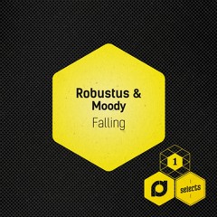 Robustus & Moody - Falling