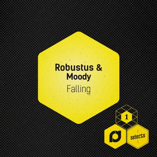 Robustus & Moody - Falling