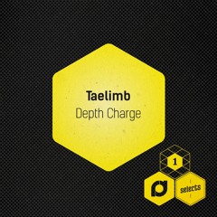Taelimb - Depth Charge (Noisia Radio S02E07)
