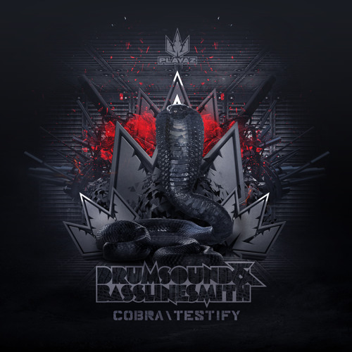 Drumsound & Bassline Smith - Testify