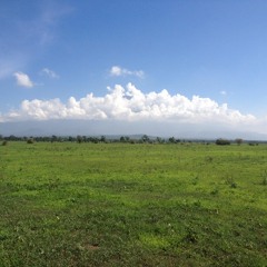 Half Grounded, Half Waiting To Land.WAV