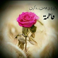 محور النور فاطم ام بيت السيادة