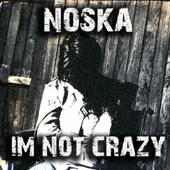 Noska - I'm Not Crazy  (out now on Beatport)