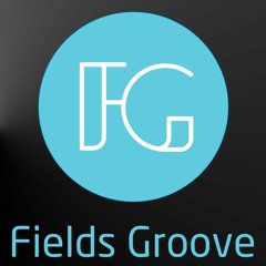 Fields Groove / Minus
