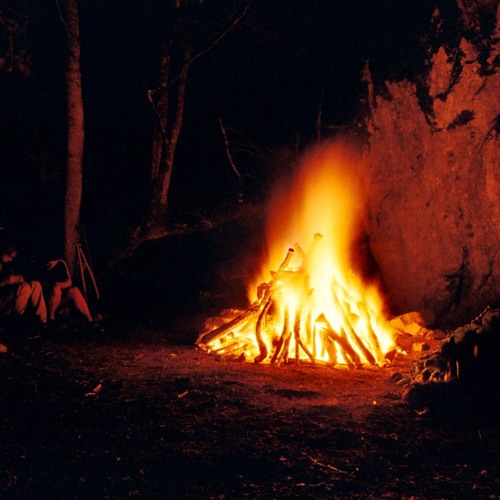 T Jae - Survive