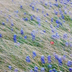 fresℎ. daily 03.30.2016