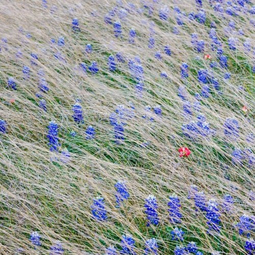 fresℎ. daily 03.30.2016