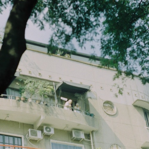 Cá Hồi Hoang, Thành Luke