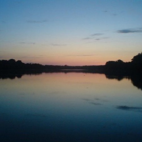 preludium c - filip walcerz feat. olga wojciechowska