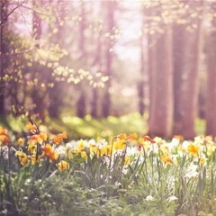 Return of Spring