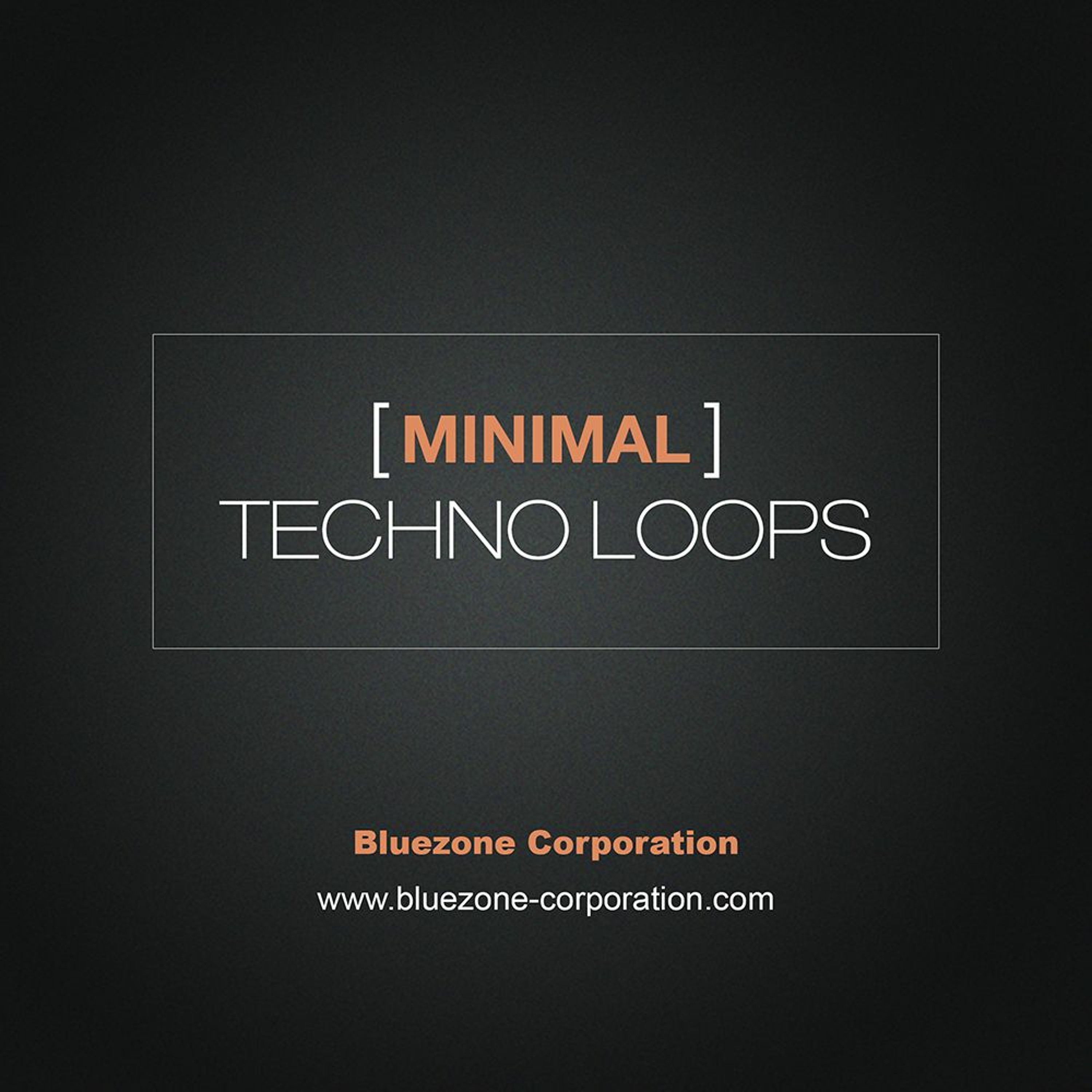 Bluezone Corporation