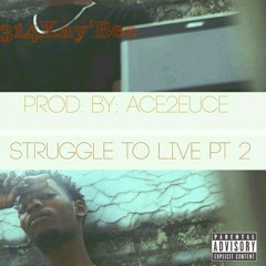 314KAY'BEE - Struggle to Live Pt.2 <STL>(Produced By: Ace2euce)