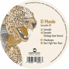 B2: El Mundo - Don't Fight Your Tears