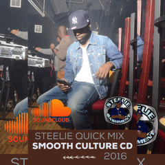 Steeliebashment Culture Quick Mix