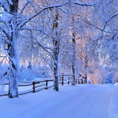 Winter '16