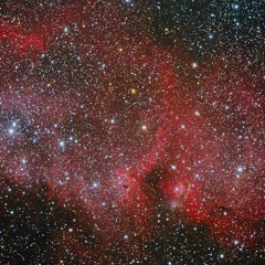 I Ain't That Nigga To Love