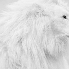 ThEy HiDe WhEn I RiDe