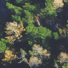 Nash - Selbstmordhotline (2012)