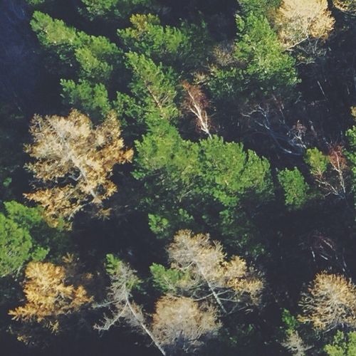 Nash - Selbstmordhotline (2012)