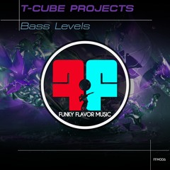 T-cube Projects - Bass levels FFM006