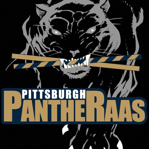 Pitt Raas Mix 2012 - 2013