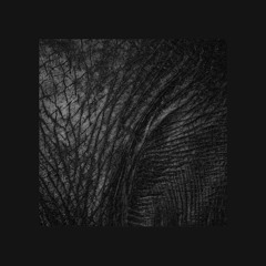 Deft - "Ivory Tusk" [2020LDN002]