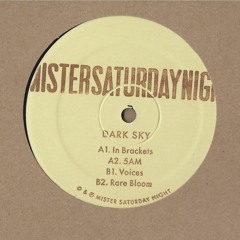 Dark Sky - Voices - In Brackets EP - MSN005