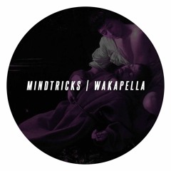 Waka Flocka - Wakapella (MINDTR1CKS Flip) [buy for free DL]