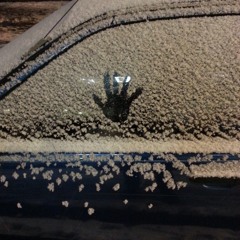 laura rai - the roots #1