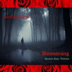 Boomerang Remix feat. Terron