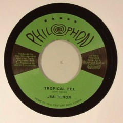 Jimi Tenor - Tropical Eel