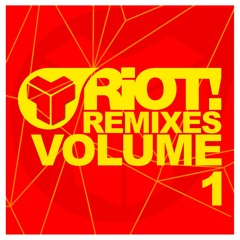 BK - Playing With Knives (Steve Hill vs Technikal Remix) [Riot Recordings]